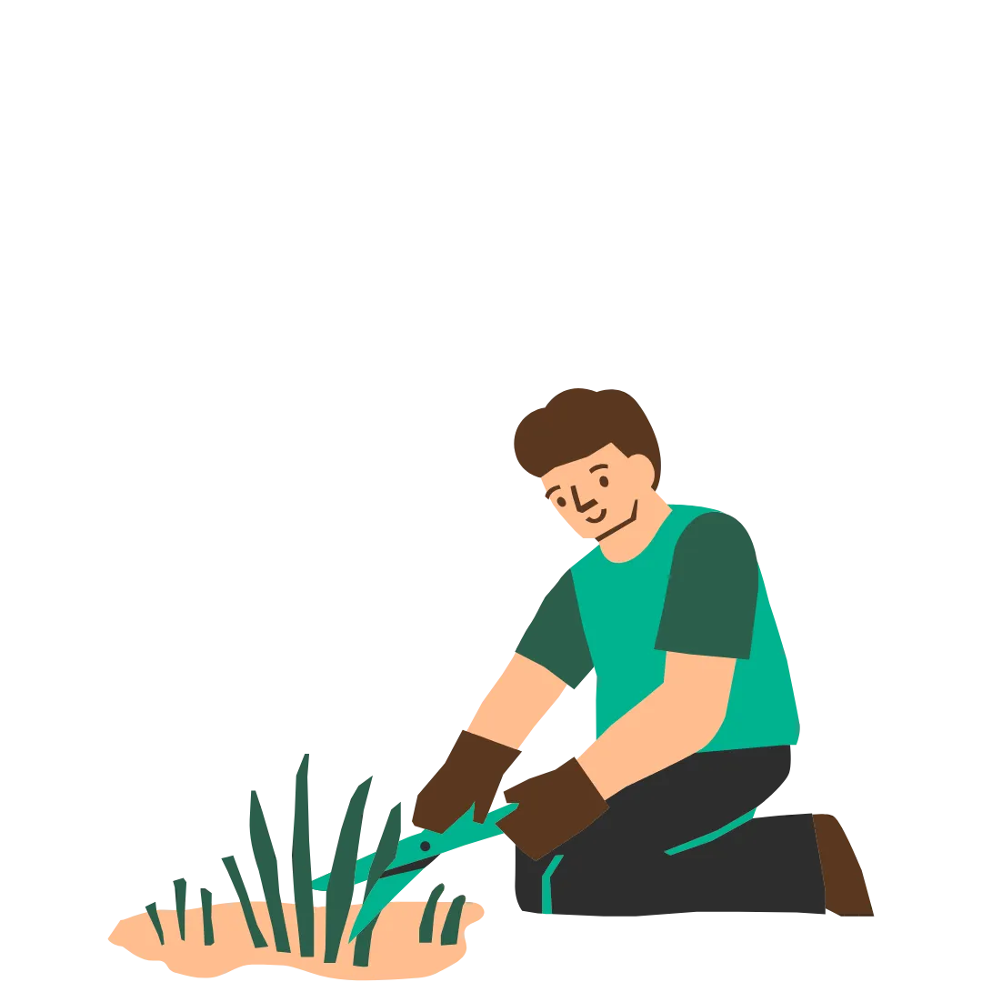 Man picking the weeds from the lawn for a lawn weed-removal service