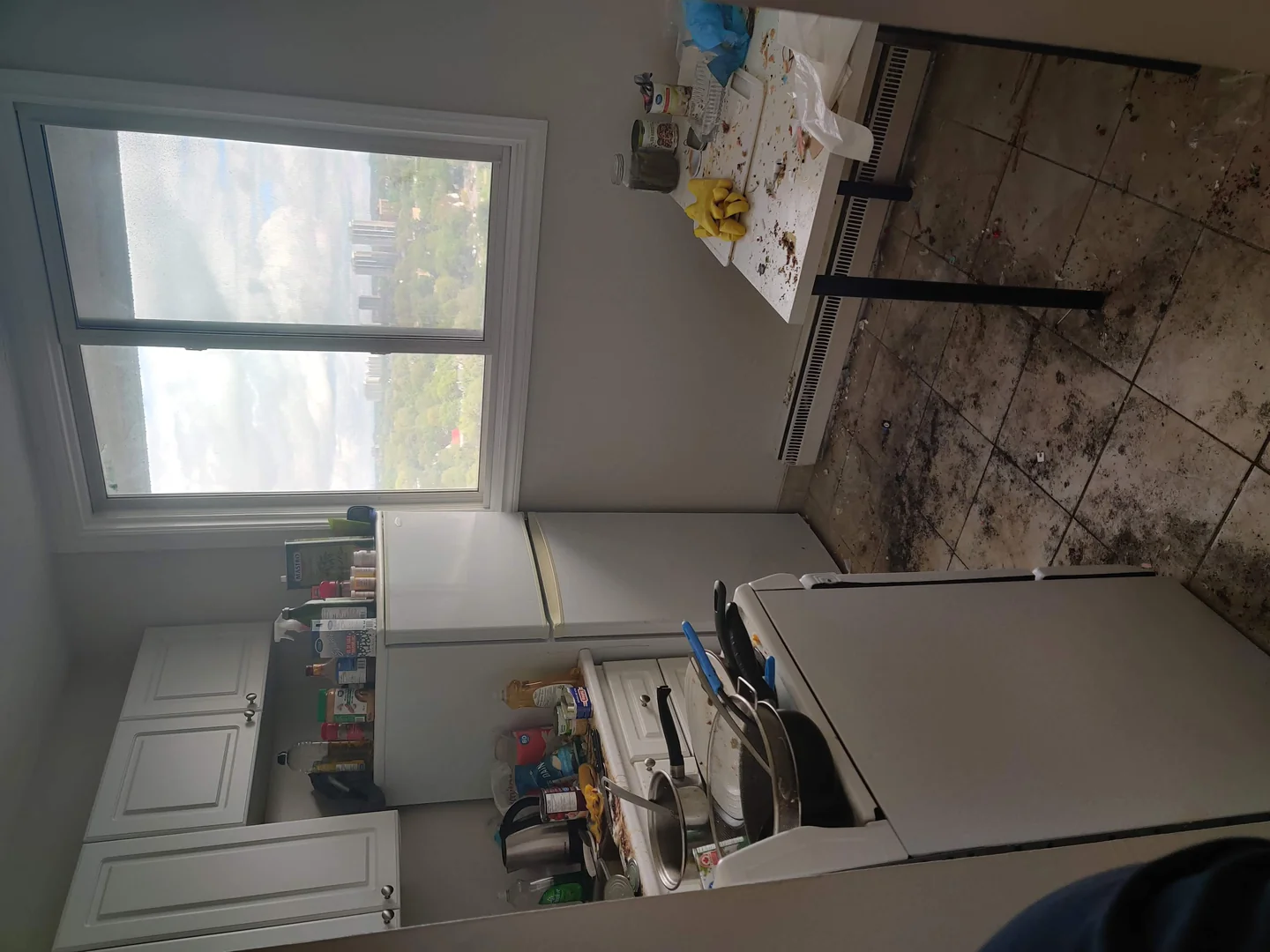 ottawa professional home cleaning services of a kitchen before booking