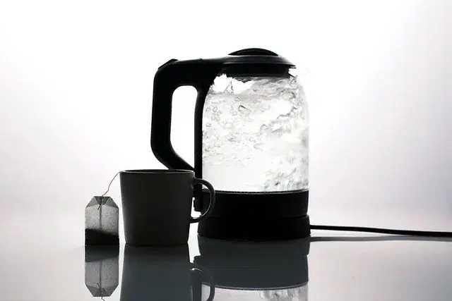 Electric kettle boiling water