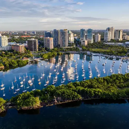 coconut-grove