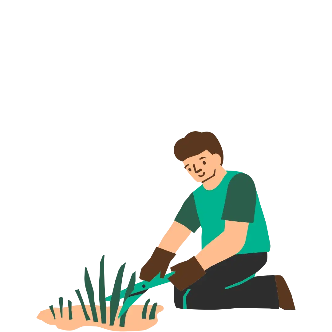 Get Professional Weed Removal Services for a Weed-Free Lawn