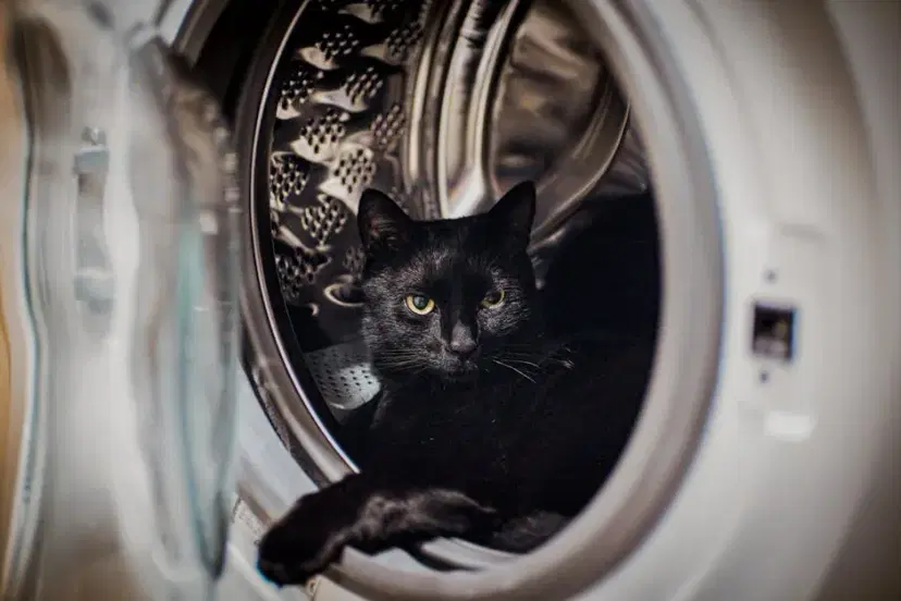 A curious black cat comfortably lounging inside a washing machine drum.