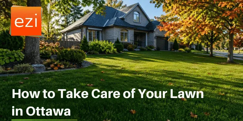 How to Take Care of Your Lawn in Ottawa