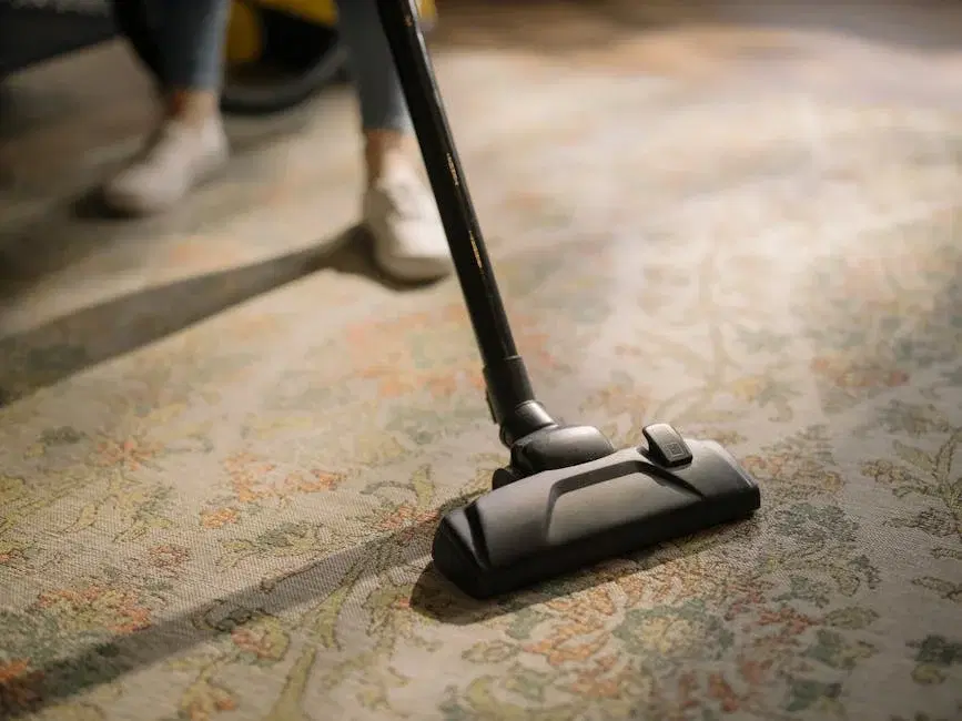 Clean carpet on stairs after professional stair carpet cleaning