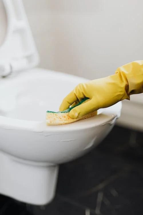 a toilet being cleaned as part of a professional-domestic-cleaning-service 
